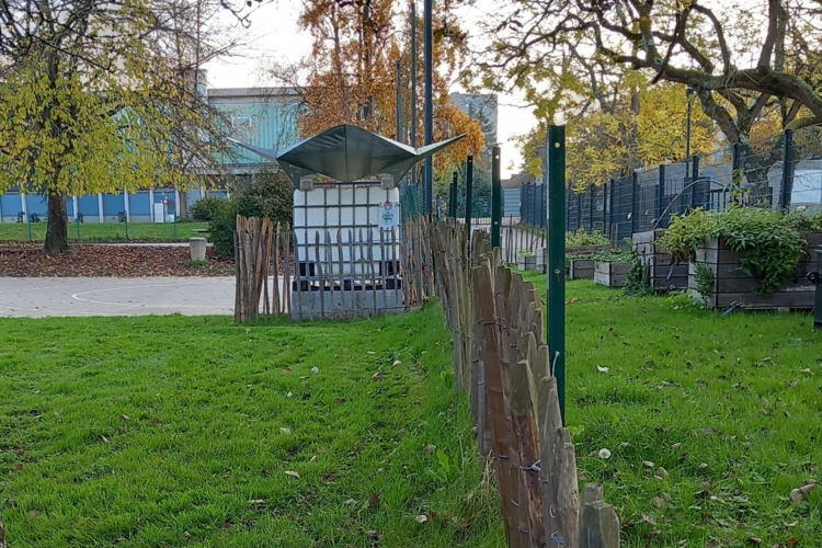image-_1_.jpg